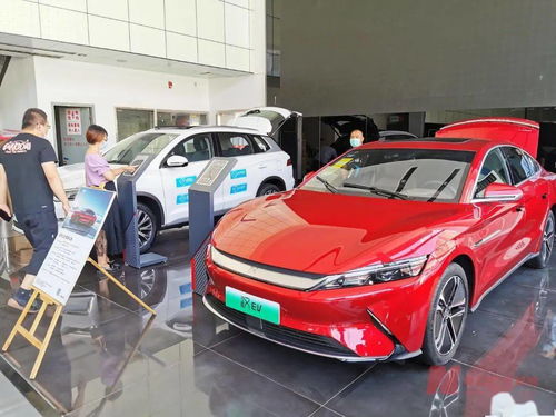 新能源車補(bǔ)貼退坡調(diào)查 市場(chǎng)終端火爆，車企策略分化，今年銷量劍指600萬輛